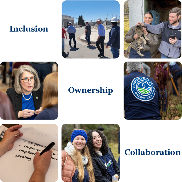 Inclusion-Ownership-Collaboration